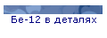 Бе-12 в деталях